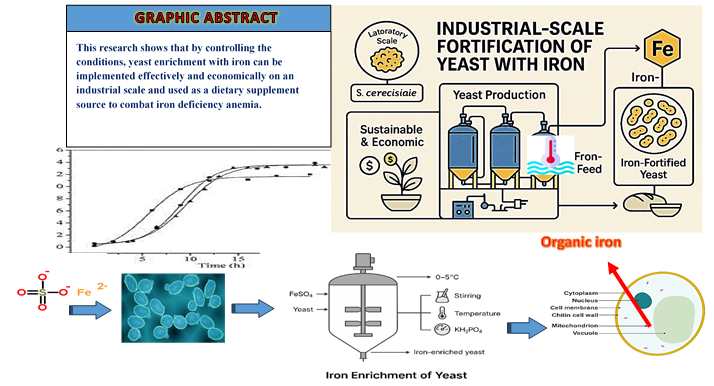 Biotechnology approaches for Iron Deficiency